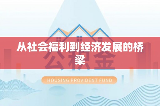 临朐从社会福利到经济发展的桥梁