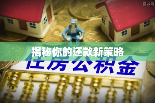 临朐揭秘你的还款新策略