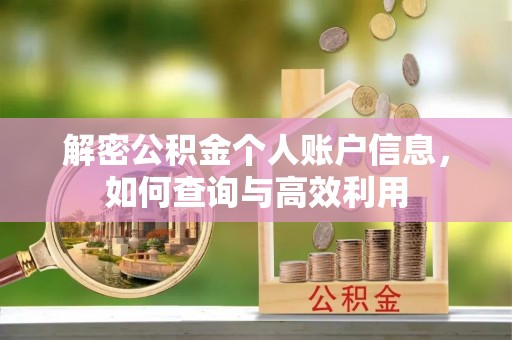 临朐解密公积金个人账户信息，如何查询与高效利用