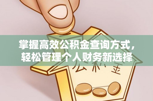 临朐掌握高效公积金查询方式，轻松管理个人财务新选择