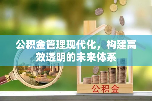 临朐公积金管理现代化，构建高效透明的未来体系