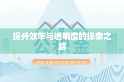 临朐提升效率与透明度的探索之路