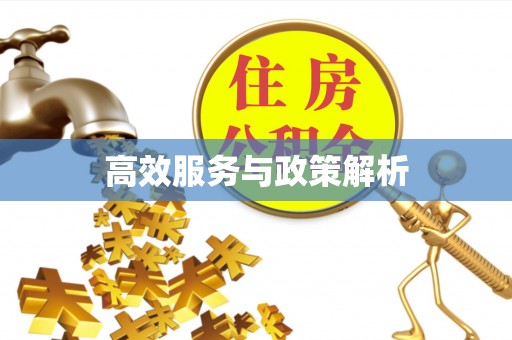 临朐高效服务与政策解析
