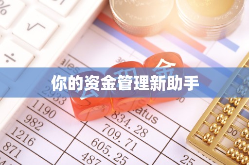 临朐你的资金管理新助手