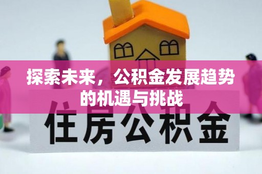 临朐探索未来，公积金发展趋势的机遇与挑战