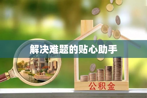 临朐解决难题的贴心助手