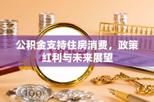 临朐公积金支持住房消费，政策红利与未来展望
