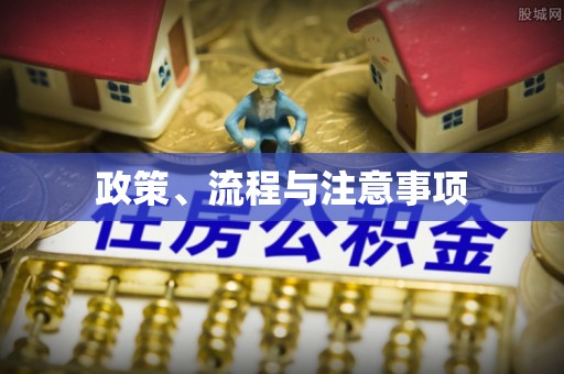 临朐政策、流程与注意事项